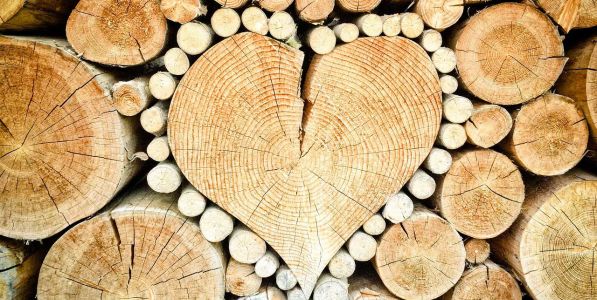 Hvordan laver man et godt bål?