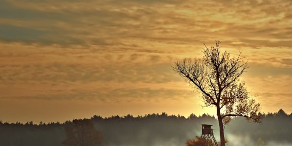 Hvorfor går man på jagt?