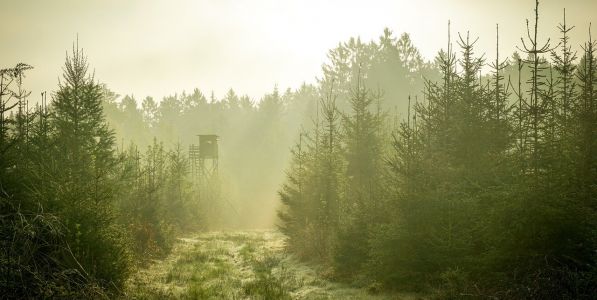 Hvor stor en grund til jagt?